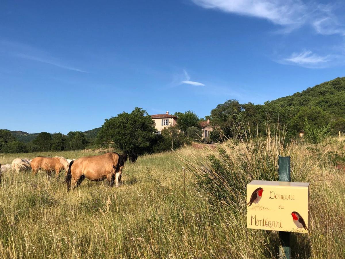 Domaine De Montbarri Bed & Breakfast La Tour-sur-Orb Exterior photo